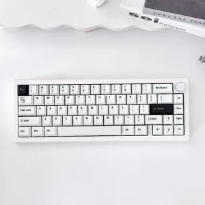 IMG_8287 Stellar Eclipse Dual Tone Keycaps