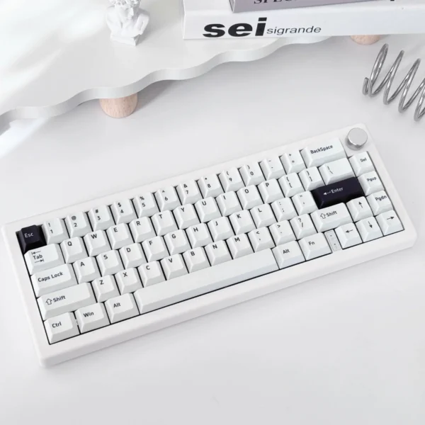 Stellar Eclipse Dual Tone Keycaps