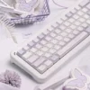 IMG_9383 Sylph Lavender Ivory Keycaps