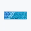 WP_IMG_ (17) Nvsion Custom| Blueberry Prism Keyboard