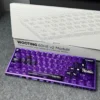 WP_IMG_ (21) PAS-001 Phantom Anime Custom Keycaps