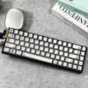 Sovaris Chronal Drift Keycaps