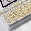 PAS-015 Phantom Anime Custom Keycaps