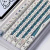 PAS-015 Phantom Anime Custom Keycaps